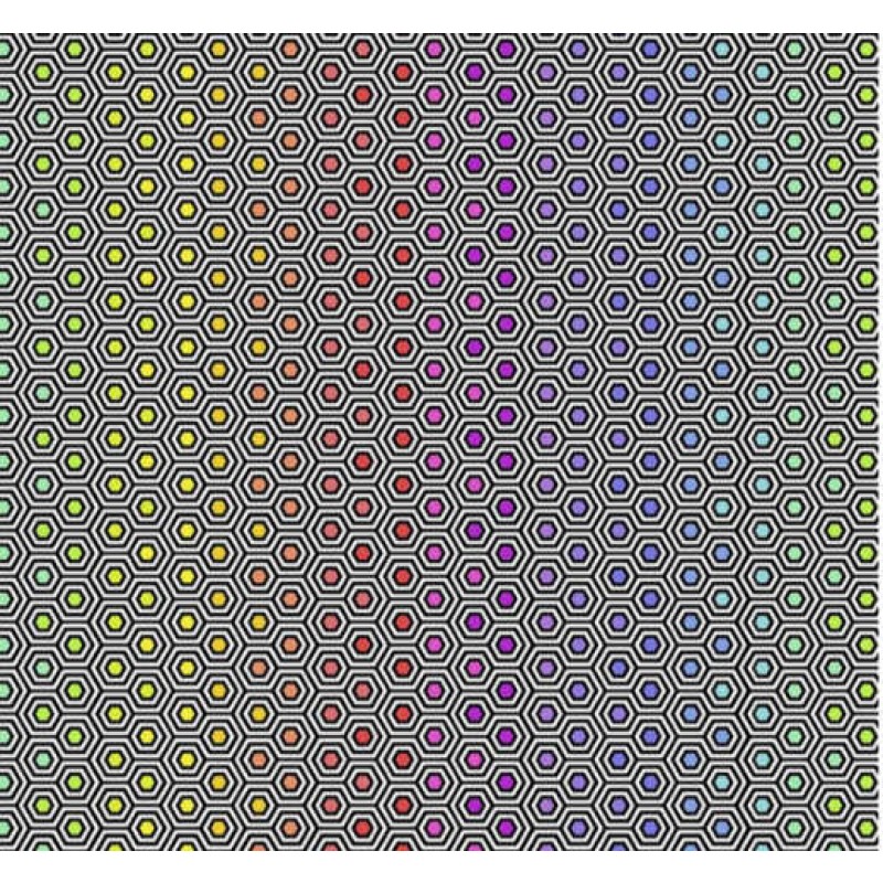Tula Pink : Hexy Rainbow
