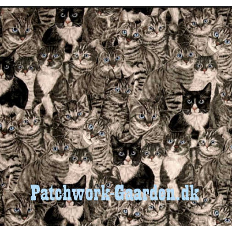 cats the way we like it