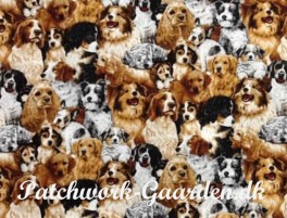 Friendly4PawsHunde-20