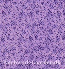 ClassiqueTonalSkinLilac-20