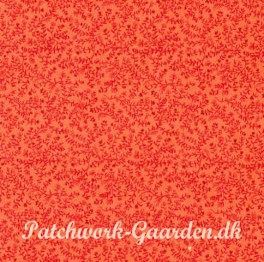 ClassiqueTinyLeafCoral-20