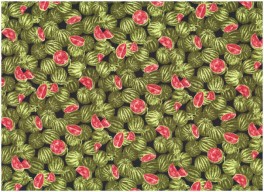 FarmerJohnsminimarketVandmeloner-20