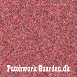 FusionRegentCardinal-20