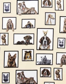 CuriousCaninesBilleder-20