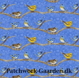 HydrangeaBirdsongFugle-20