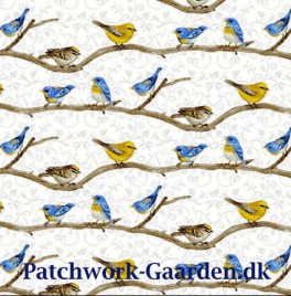 HydrangeaBirdsongFugle-20