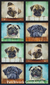 MopsStorebilleder-20