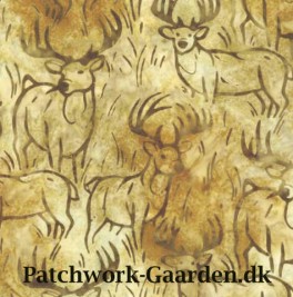 WildlifeSanctuaryHjorteII-20