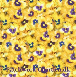 NaturesStudesStedmoderblomster-20