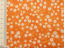 EnchantedGardenOrangeNEDSAT80prmeter-20