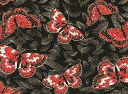 KiyomiButterflies-20