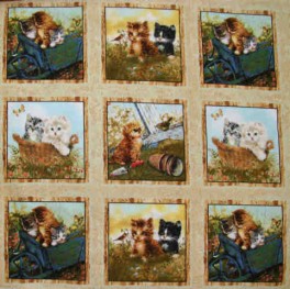 PlayfulKittenBilleder-20