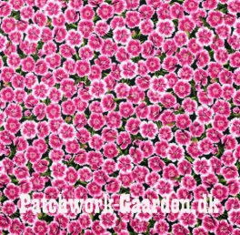 NaturescapeNelliker-20