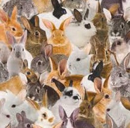 TrixieKaninerOBSKRAFTIGTSTOF-20