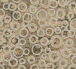 NewShimmerGrbruneprikkerI-20