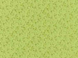 SarahsCollectionGrn-20