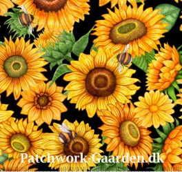 ALWAYSFACETHESUNSHINEPACKEDSUNFLOWERS-20