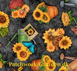 ALWAYSFACETHESUNSHINEPOTTEDSUNFLOWERS-20