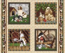 FourPawsStorehundebilleder-20