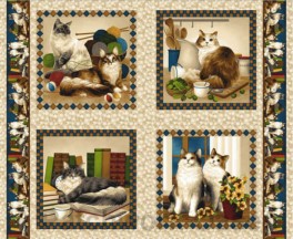 FourPawsStorekattebilleder-20