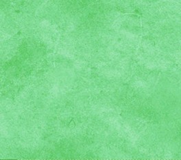 SuedeSoftToneslysgrn-20