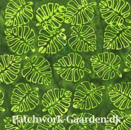 Anthology3005QXForrest-20