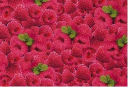 YummyHindbr147cmbredt-20