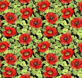 HARLEQUINPOPPIESBlomstermellem-20