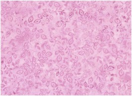 BaliHandpaintLyselillablade-20