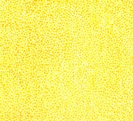 HoffmanBaliBatikSunDots-20