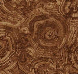 StonehengeWoodland-20