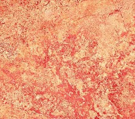 NorthcottGradationOrangePink-20