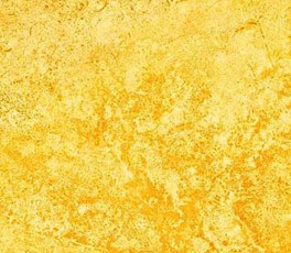 NorthcottGradationLysOrangeI-20