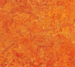 NorthcottGradationMeleretmrkOrangeII-20