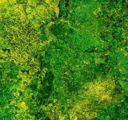 StoneHengeRaindeerPrance-20