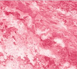 NorthcottGradationpink-20