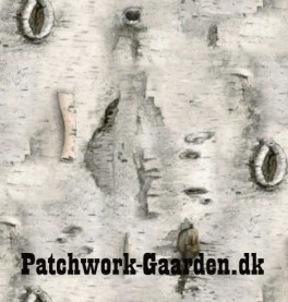 LandscapeMedleyBirkebark-20