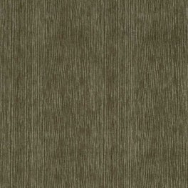 KyotoCollectionTr-20