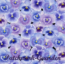 PrettyasaPansyStedmoderblomster-20