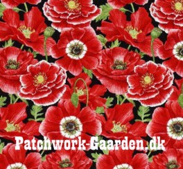 PoppyPerfectionValmuer-20