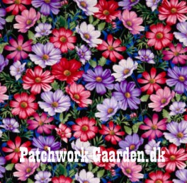 BotanicaBloomsCosmeaBlomster-20