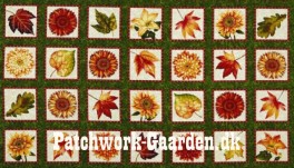 AtumnAlbumBilleder-20