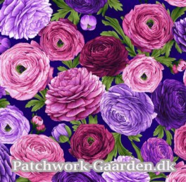 DragonflyGardenRanunkler-20