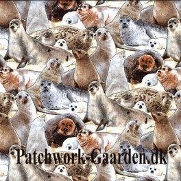 NorthAmericanWildlifeSler-20