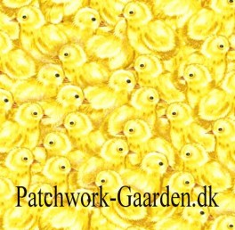 SunflowerMarketKyllinger-20