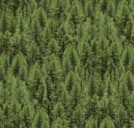 LandscapesGranskov-20