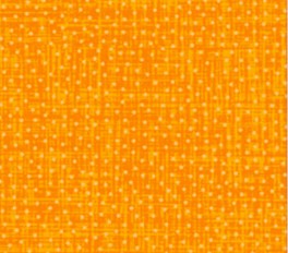 BearEssentials2Guleprikker-20