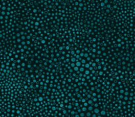 BearEssentials2TurkisePrikker-20