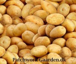 FoodFestivalKartofler-20