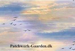 LandscapeMedleyHimlen-20